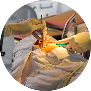 口腔外科イメージ